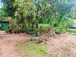 ගම්පහ දිවුලපිටිය ප්‍රධාන බස් පාරට මායිම් ඉඩමක්