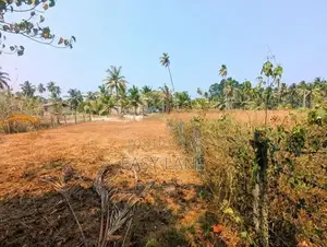 බාදුරාගොඩ – මීරිගම/මීගමුව පාරට ආසන්න ඉඩමක් විකිණීමට