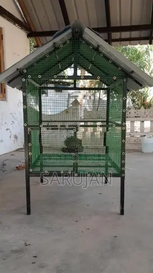 Birds Cage