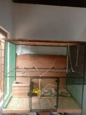 Large Bird Cage