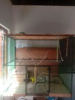 Large bird cage