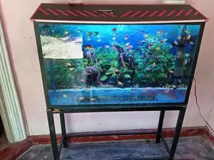 fish tank