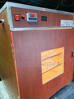 බිත්තර රක්කවන මැශිම