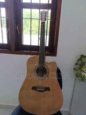 Guitar