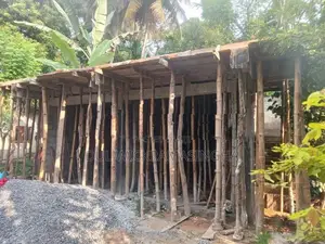 සැටලිම