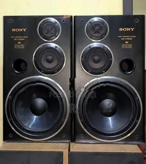 Sony 10 inch 3 Way Speakers