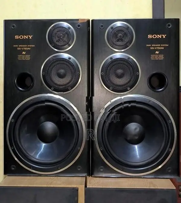Sony 10 inch 3 Way Speakers