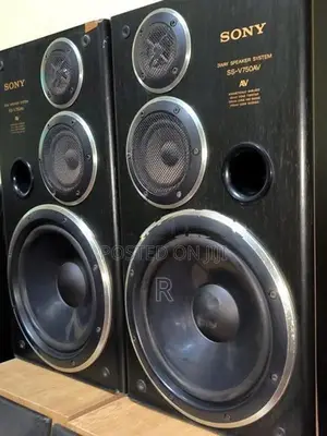 Sony 10 inch 3 Way Speakers