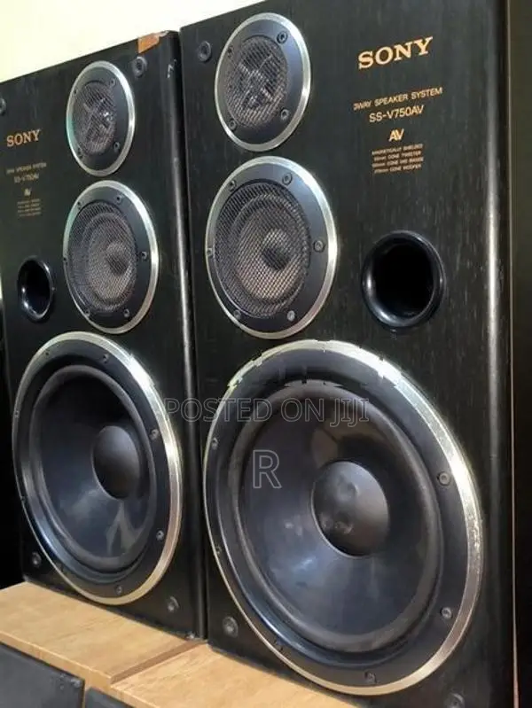 Sony 10 inch 3 Way Speakers