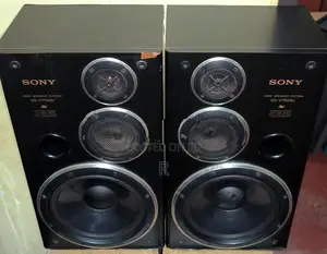 Sony 10 inch 3 Way Speakers