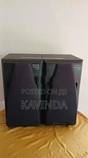 Pioneer Speaker Buffel