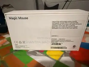 Apple Magic Mouse 2