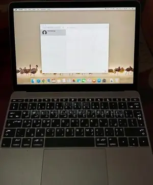 Apple MacBook 12-inch - 8GB / 256GB SSD