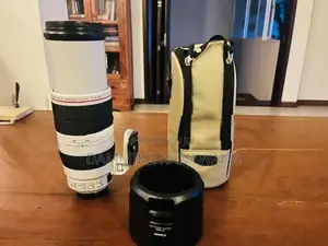 Canon EF 100–400mm f/4.5–5.6L IS II USM Lens