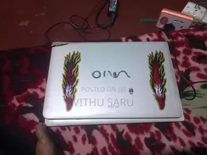 Sony Vaio Laptop