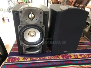 Prradigm Speaker