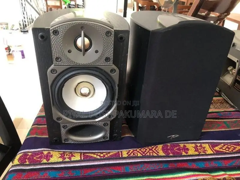Prradigm Speaker