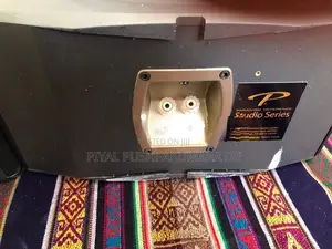 Prradigm Speaker