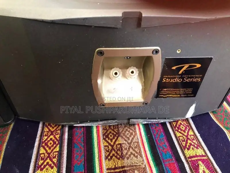 Prradigm Speaker