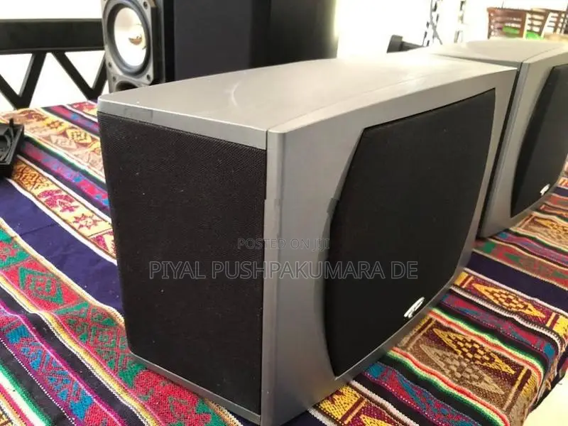Prradigm Speaker