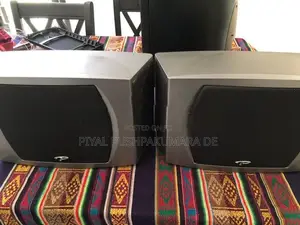 Prradigm Speaker