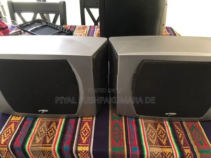 Prradigm Speaker