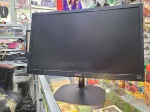 LG 24" LED Monitor