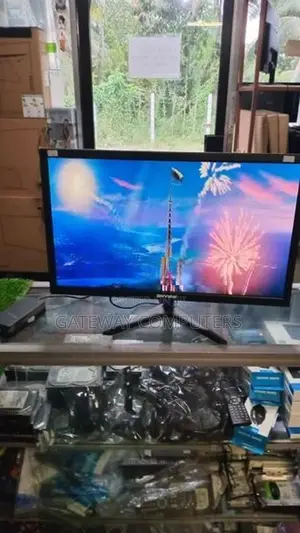 Skyview 24 inch LED TV