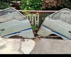 Caravan Door
