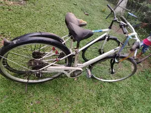 Japan Bicycle