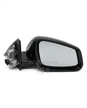 BMW X1 - Side Mirror