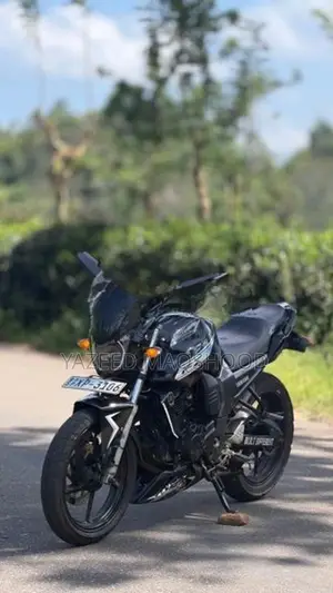 Yamaha FZ 1 2012