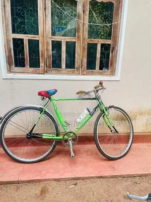 Lumala Green Bicycle