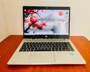 HP ProBook 440 G6 Core i5 8265U–8th GEN 16GB RAM 256GB SSD