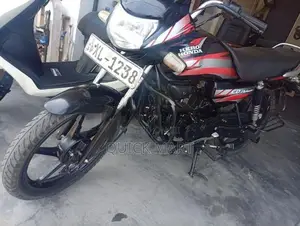 Hero HF Deluxe 2013