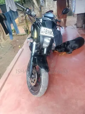 Yamaha FZs V2 2019
