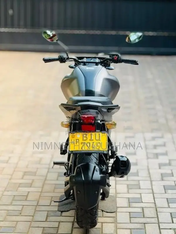 Yamaha FZS V3 2019