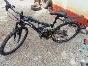 Mountain Bicycle