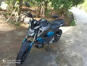Yamaha FZS V3 2019
