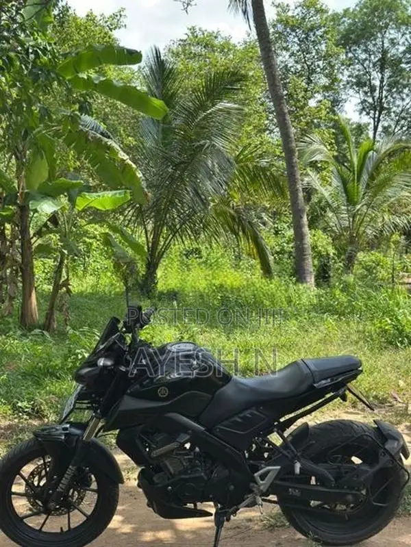 Yamaha MT 15 2020