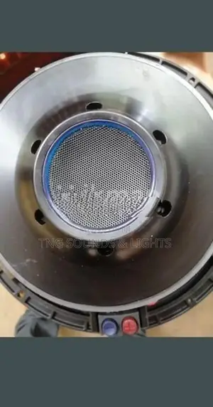 15 Inch RCF Speaker