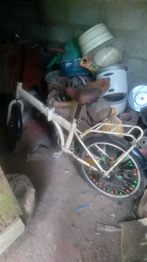 Pit Bicycle