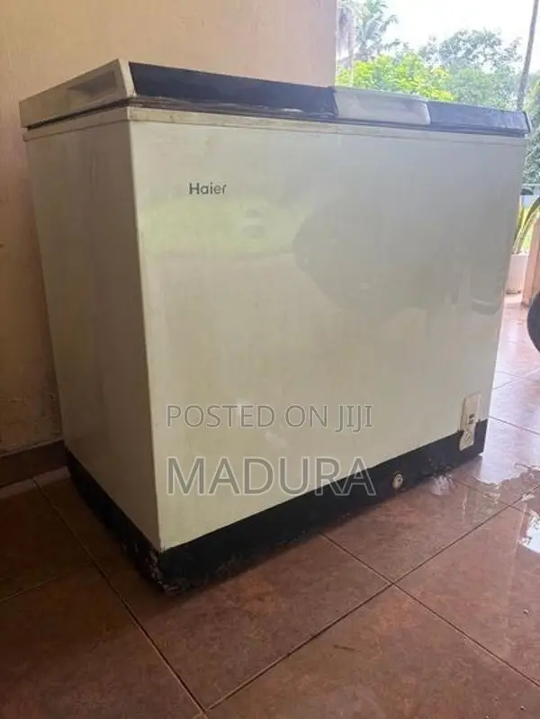 Haier Freezer
