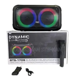 Brodu BTS-1709 Portable Karaoke Speaker