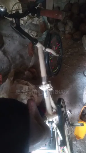 Put Bicycle