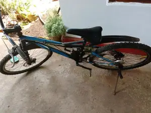 Mountain Bicycle