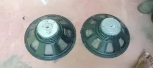 Crown 15" Speaker