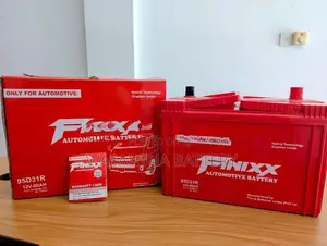 Finixx 90AH Automotive Battery Set