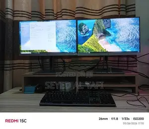HP Monitor