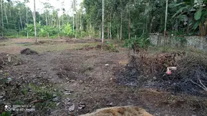 Bare Land for Sale